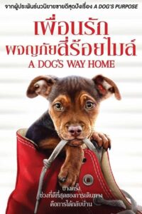 A Dog s Way Home (2019) ดูหนังชีวิตของน้องหมาที่เดินทางกว่า400ไมล์ไปหาเจ้าของ